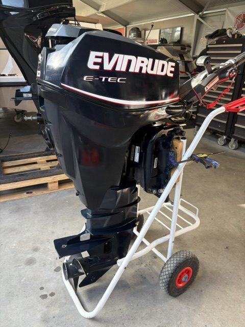 Occasion Evinrude E-Tec 30